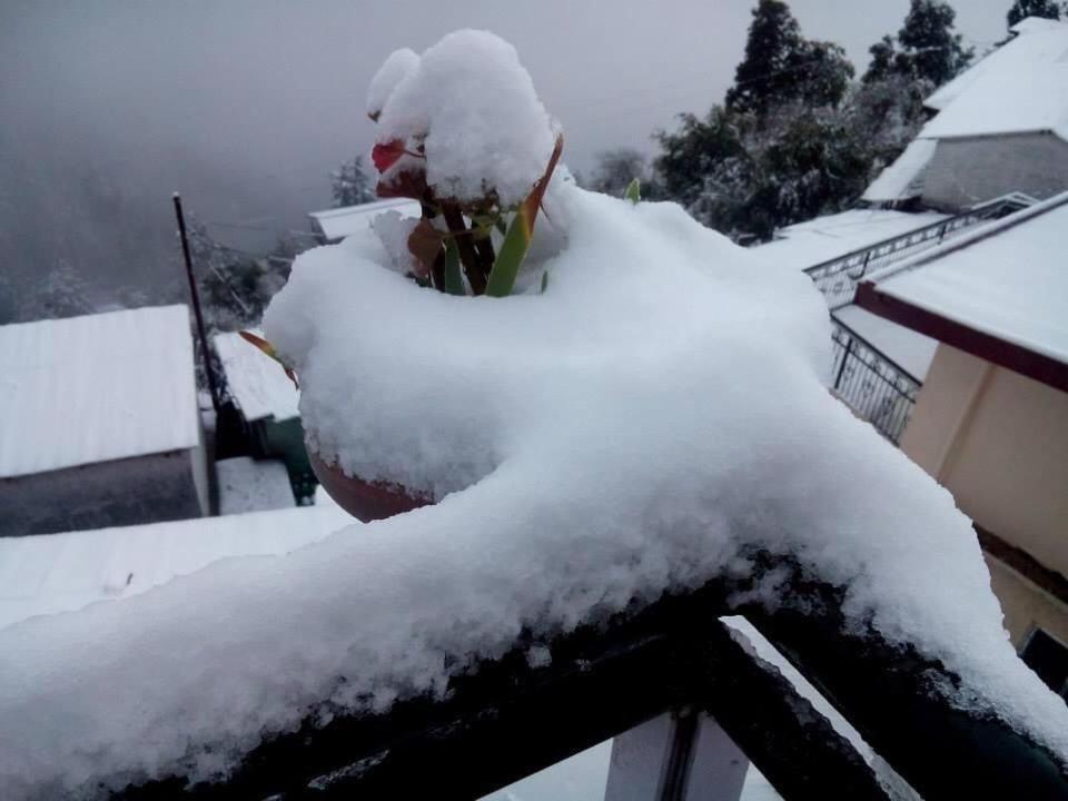 Calm Paradise Shimla Exterior photo